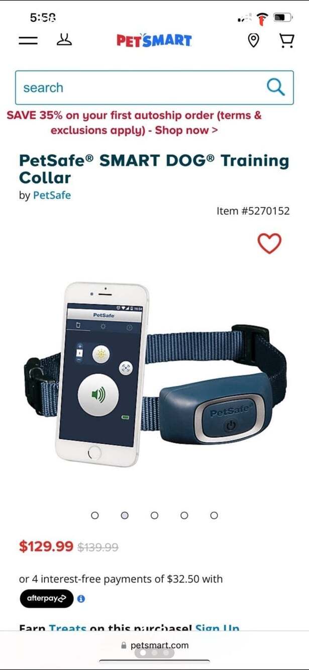 PetSafe smart dog trainer